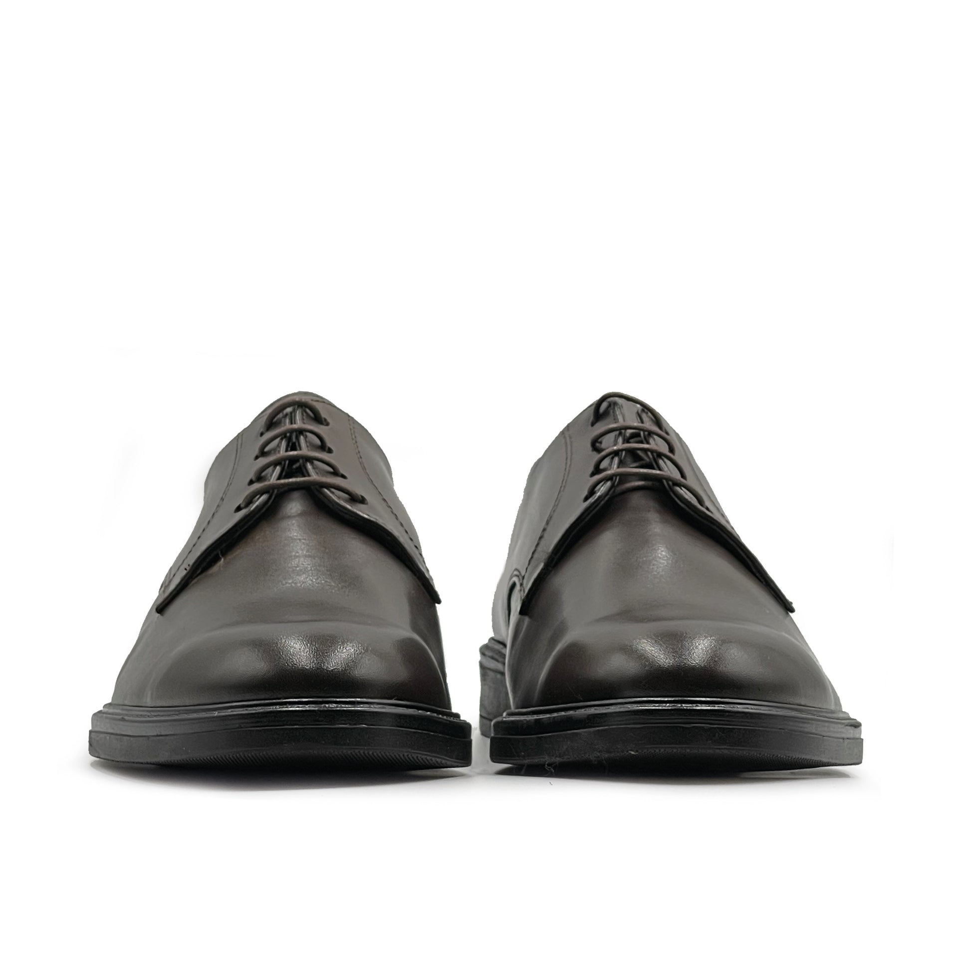 #colore_testa-di-moro